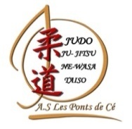 logo_les_ponts_de_ce [640x480]